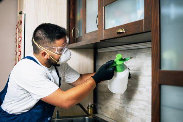 Best Wasp Removal Services  in Mackinaw, IL