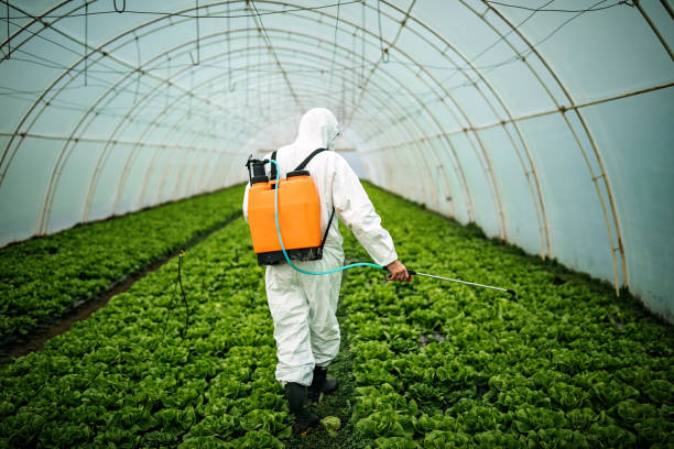 Best Residential Pest Control  in Mackinaw, IL