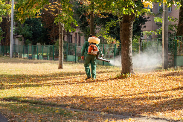 Best Affordable Pest Control Services  in Mackinaw, IL